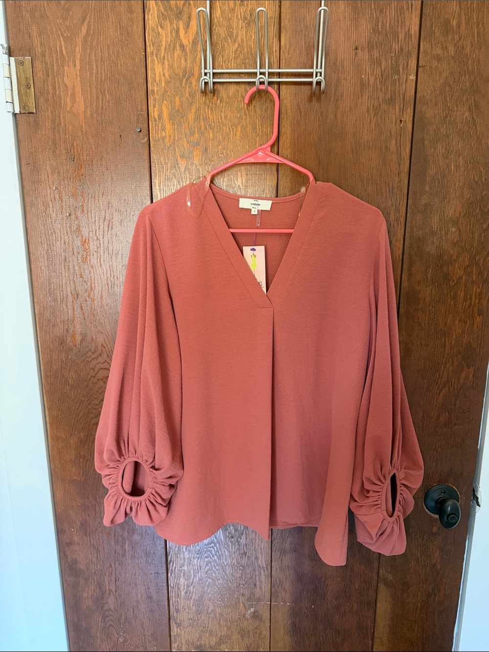 entro Dusty Rose V-Neck Balloon Sleeve Blouse